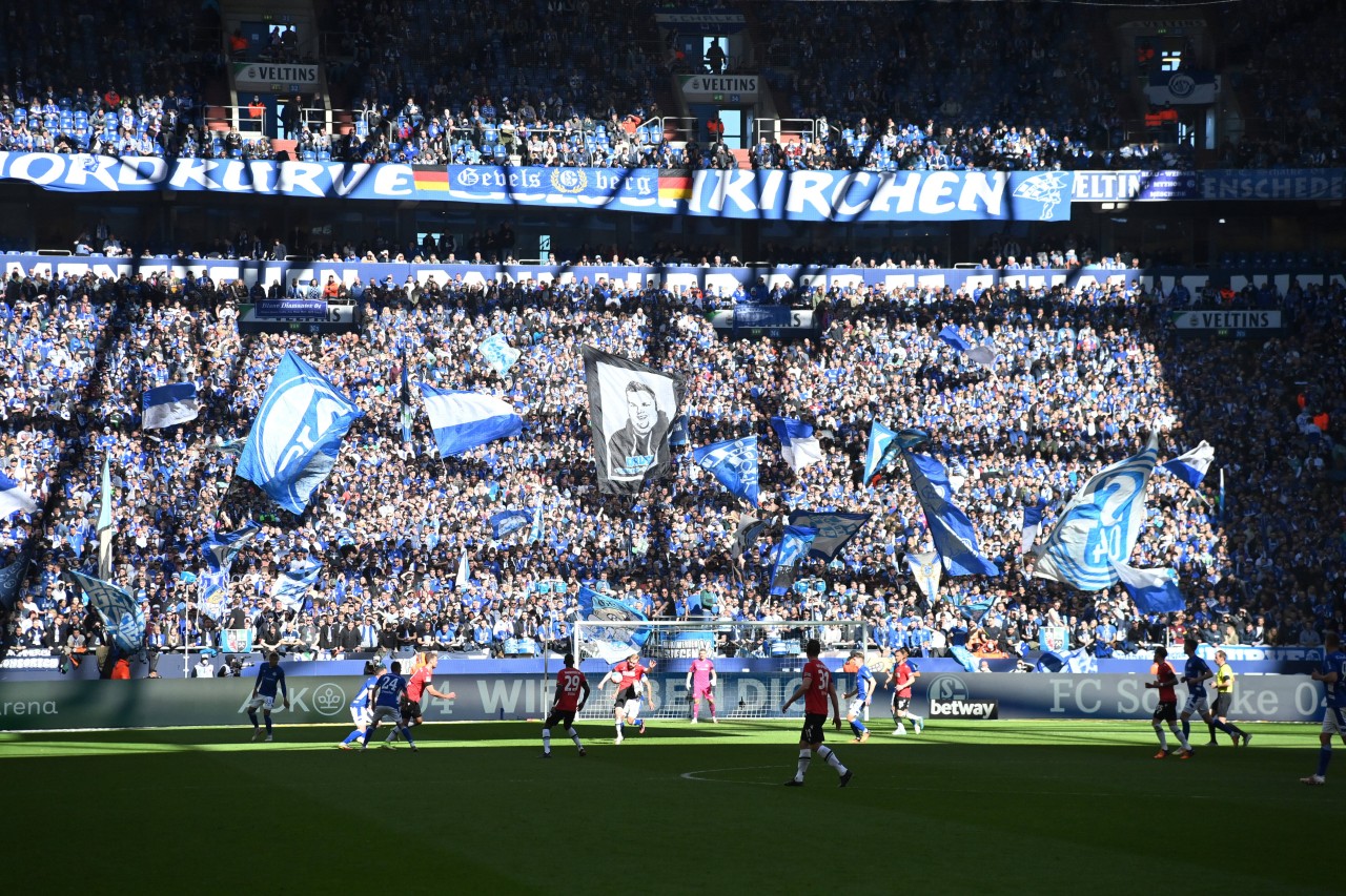 FC Schalke 04: Die Nordkurve ist zurück!  