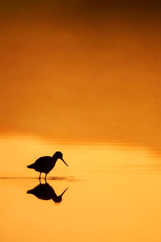 Naturfoto von Hermann Hirsch