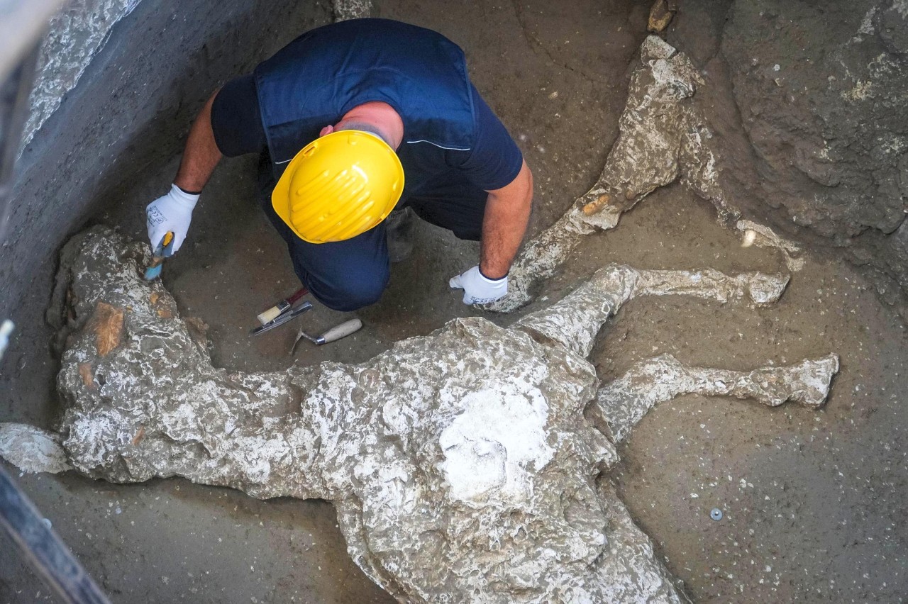 Ein Archäologe arbeitet an der Ausgrabung der Überreste eines Pferdes, das in einem Stall in der Nähe einer Villa in der archäologischen Stätte Pompeji gefunden wurde.