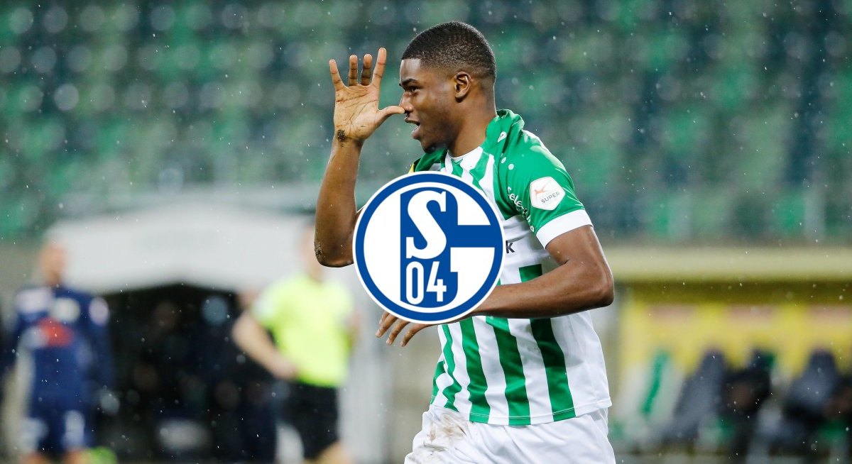 FC Schalke 04 Duah.jpg