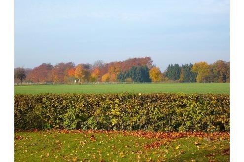 Herbst in der Community. Foto: davida 