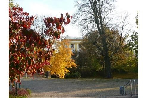 Herbst in der Community. Foto: davida 