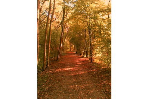 Dieses tolle Herbstmotiv hat mondstein56 in Unna eingefangen.