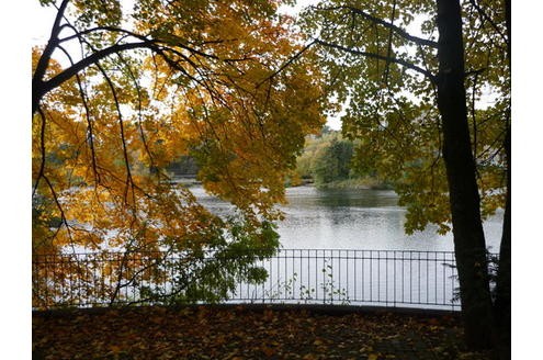 Herbst am See. Foto: ursulahick 