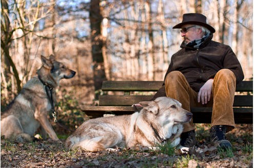 Hans-Willi Pertenbreiter mit seinen Wofshunden.