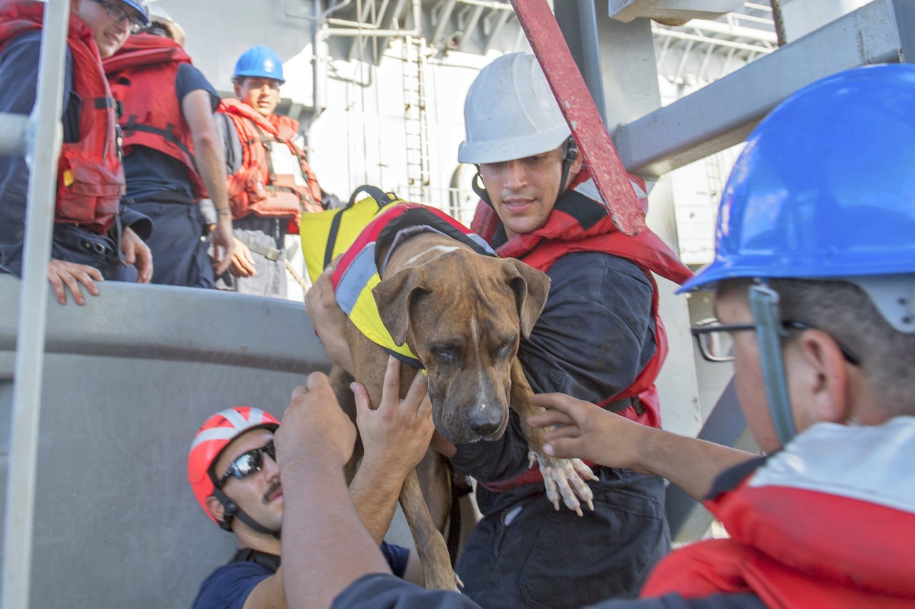 Die Frauen hatten auch ihre Hunde mit an Bord.