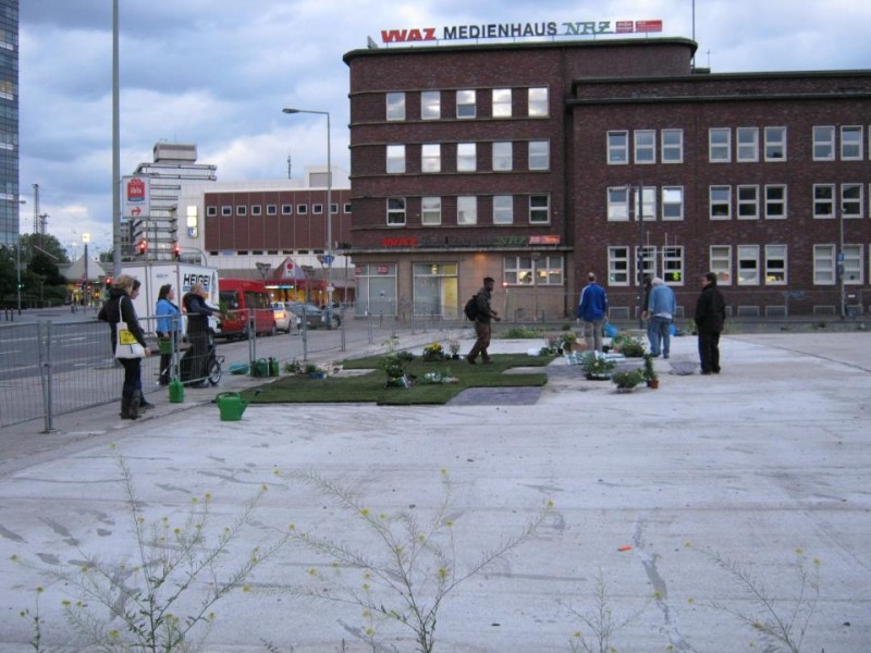 ... sponserten ein Baumarkt und eine Gärtnerei insgesamt 50 Quadratmeter Rollrasen und allerlei Balkonpflanzen. Die Politiker kritisierten den Stillstand auf der Platte und hoffen ...