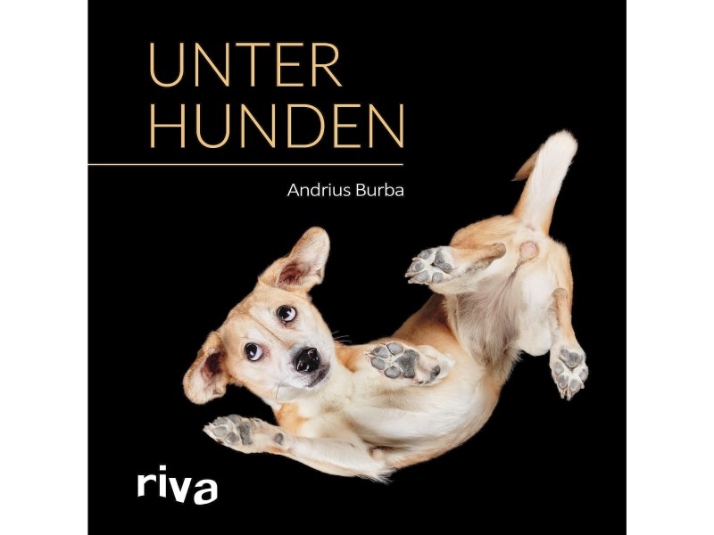 Der hochwertige 4-farbige Bildband „Unter Hunden“ ist im riva Verlag erschienen. Über 96 Seiten sind Vierbeiner verschiedenster Rassen von unten zu sehen – vom wuscheligen Pudel über den schwerfälligen Pitbull bis zur eleganten Dogge. Das Buch ist für 14,99 € zu erwerben.