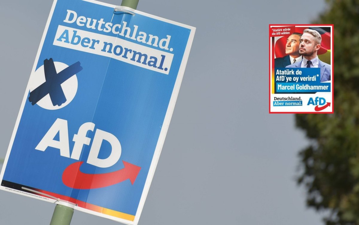 AfD Teaser.jpg