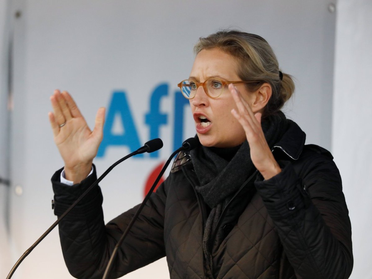 Alice Weidel.jpg