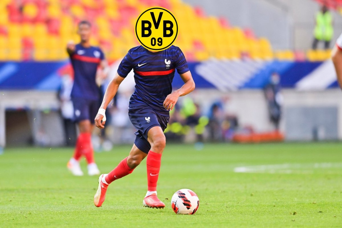 BVB Diop.jpg