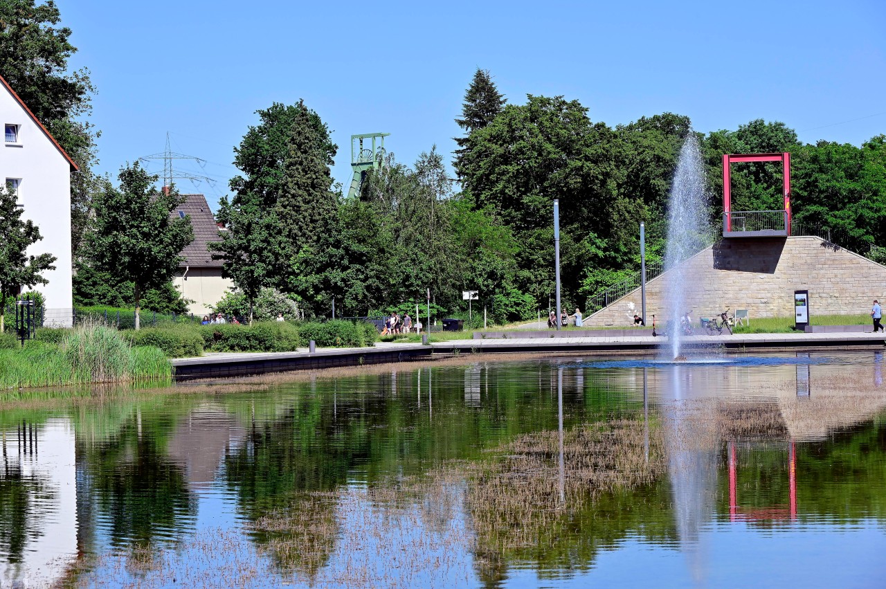 Essen: Frau macht Beobachtung am Niederfeldsee - und wird sehr wütend! 