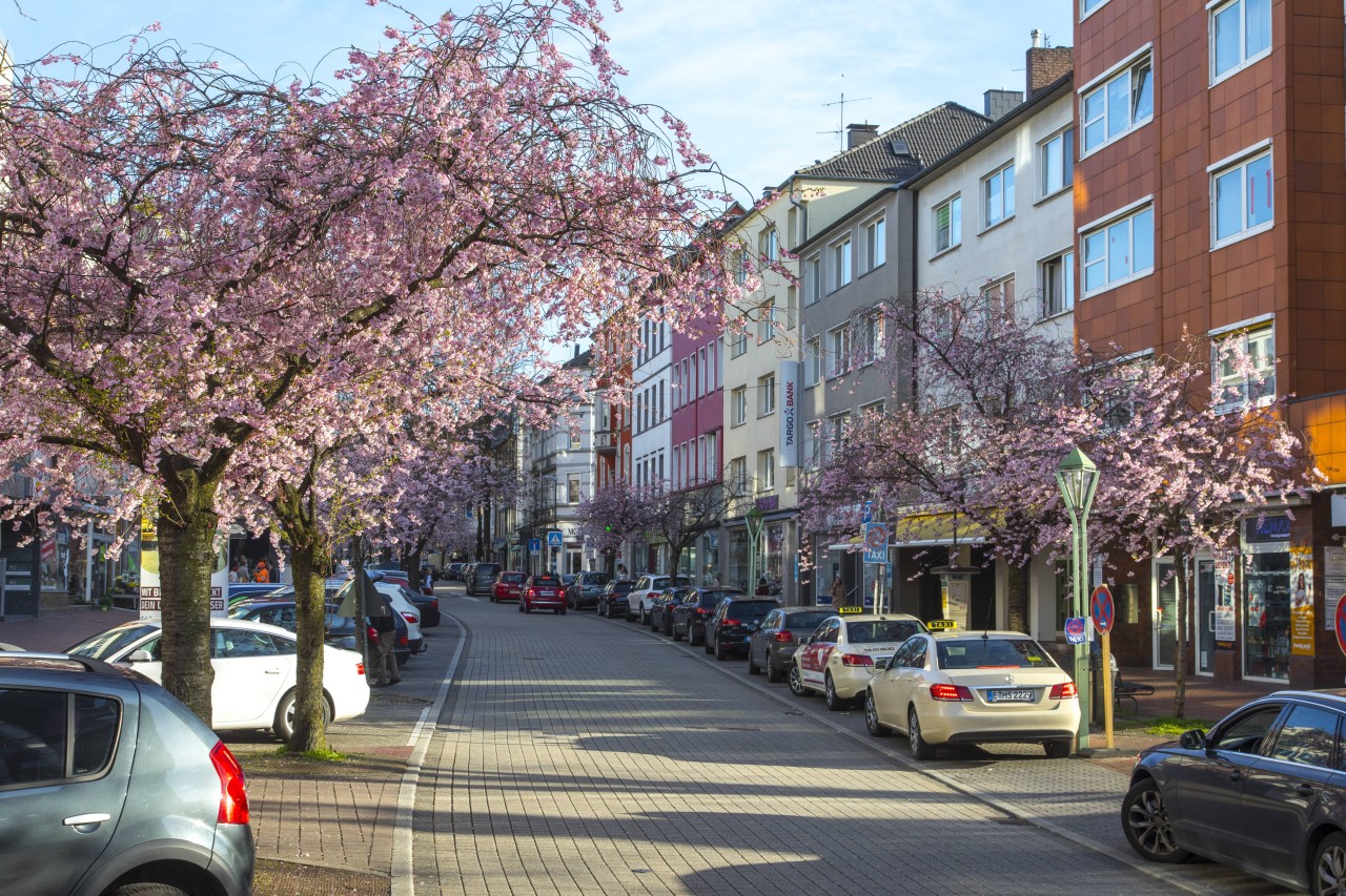 Essen: Wichtige Verkehrsachse mitten auf der Rü gesperrt – deshalb halten HIER bald keine Bahnen mehr (Symbolbild).