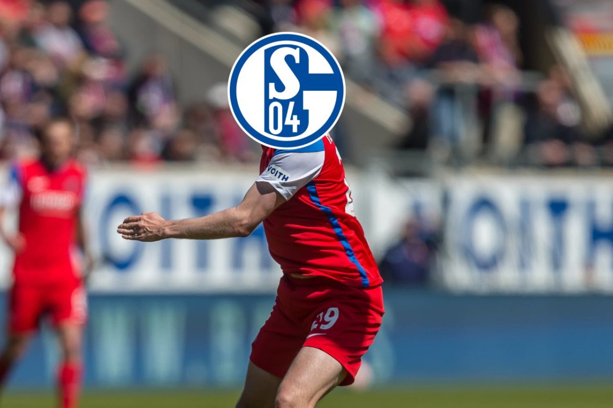 FC Schalke 04 Mohr.jpg