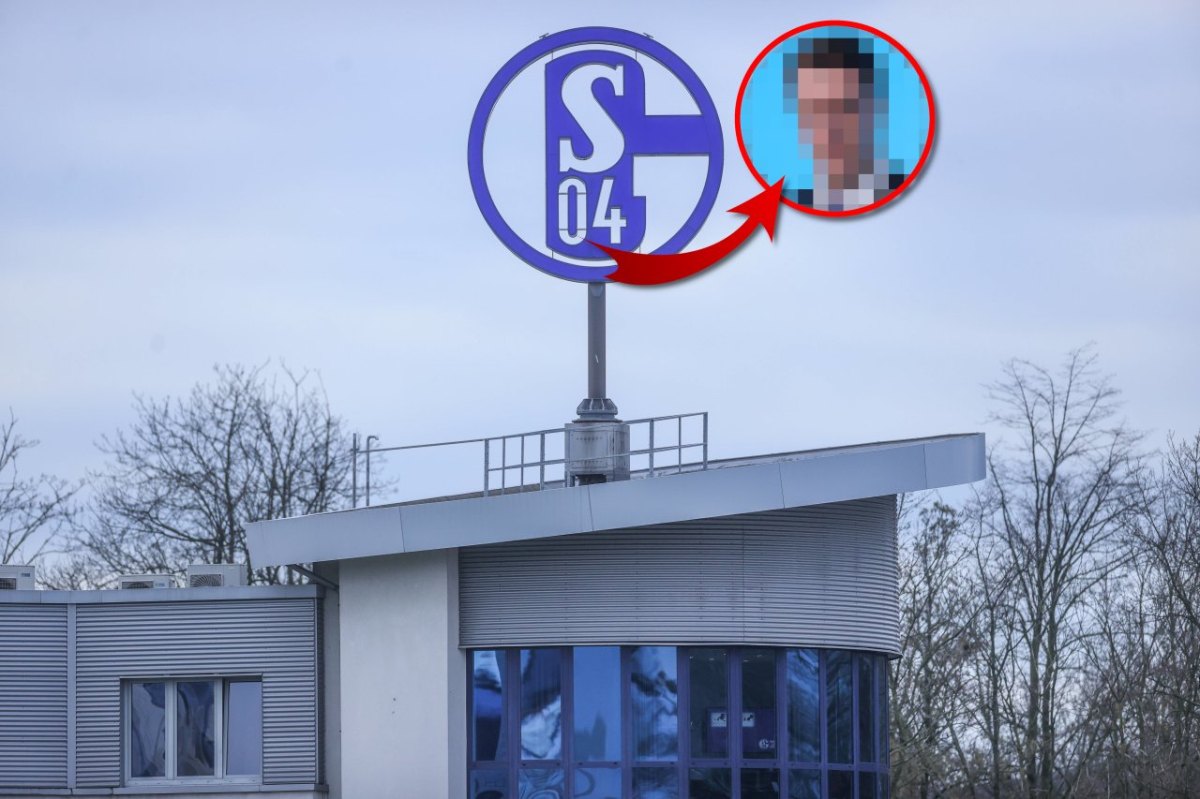 FC Schalke 04 Wüst.jpg