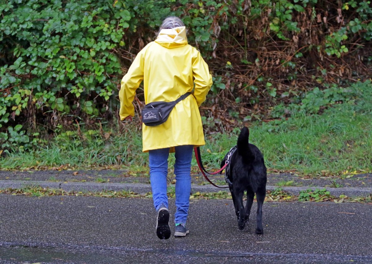 Frau mit Hund Gassi.jpg