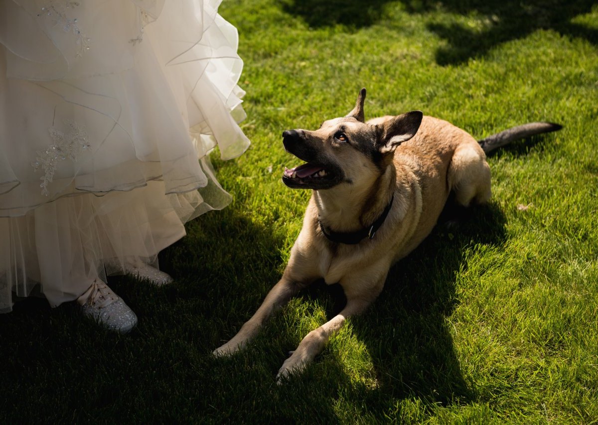 Hochzeit.jpg