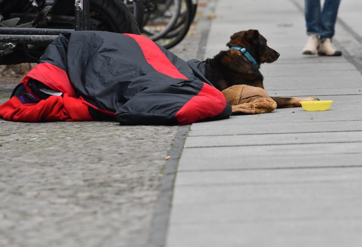 Hund_Essen_Obdachloser.jpg