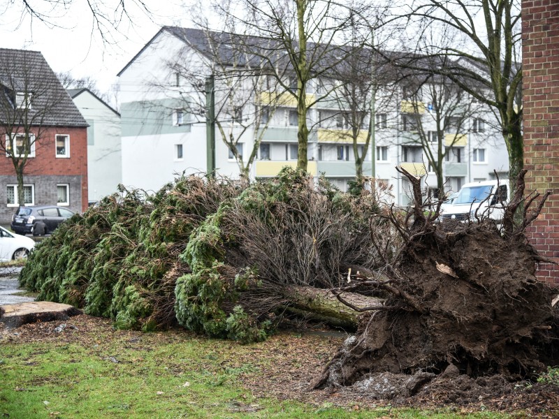 Auch in Duisburg wütete Sturmtief „Friederike“. 