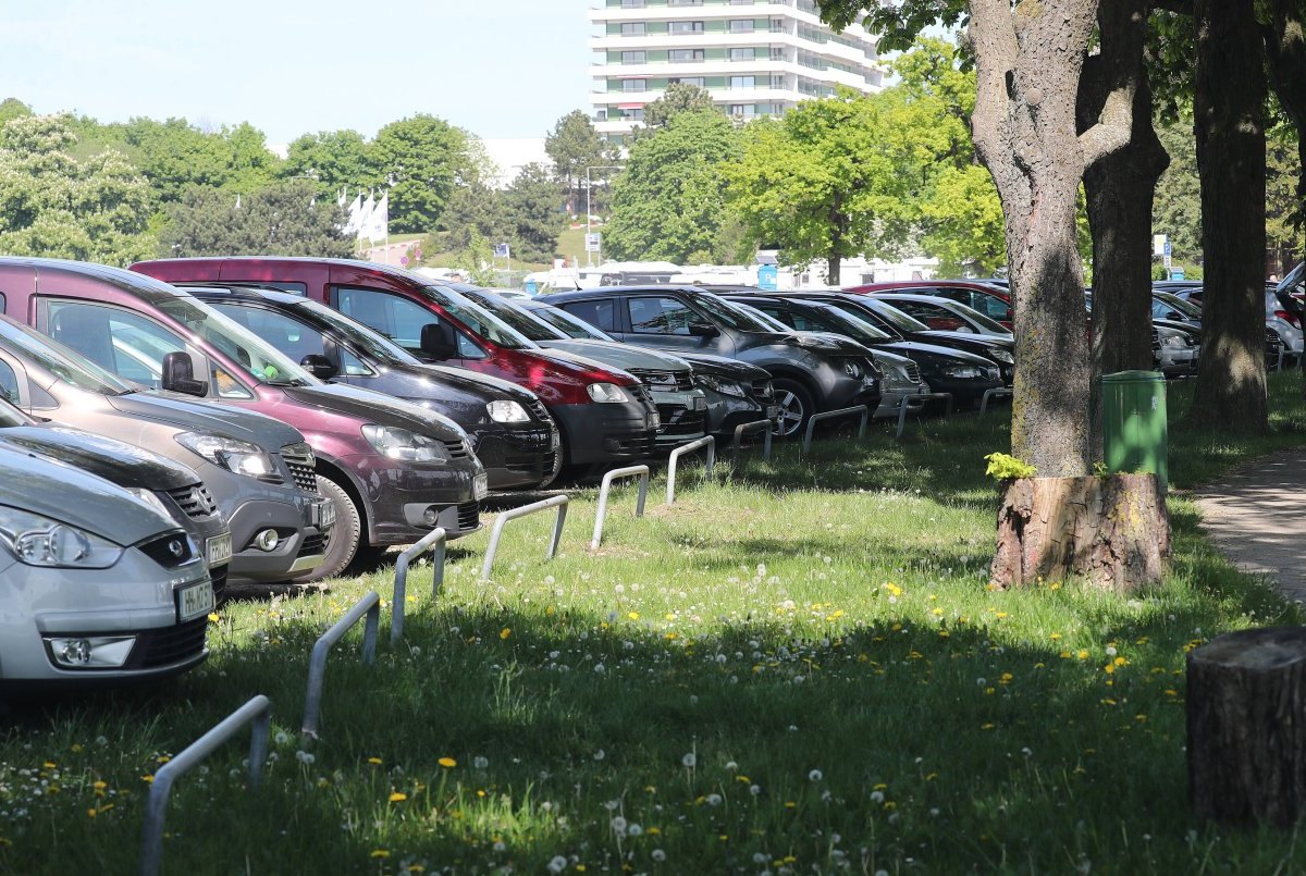 Ostsee.jpg