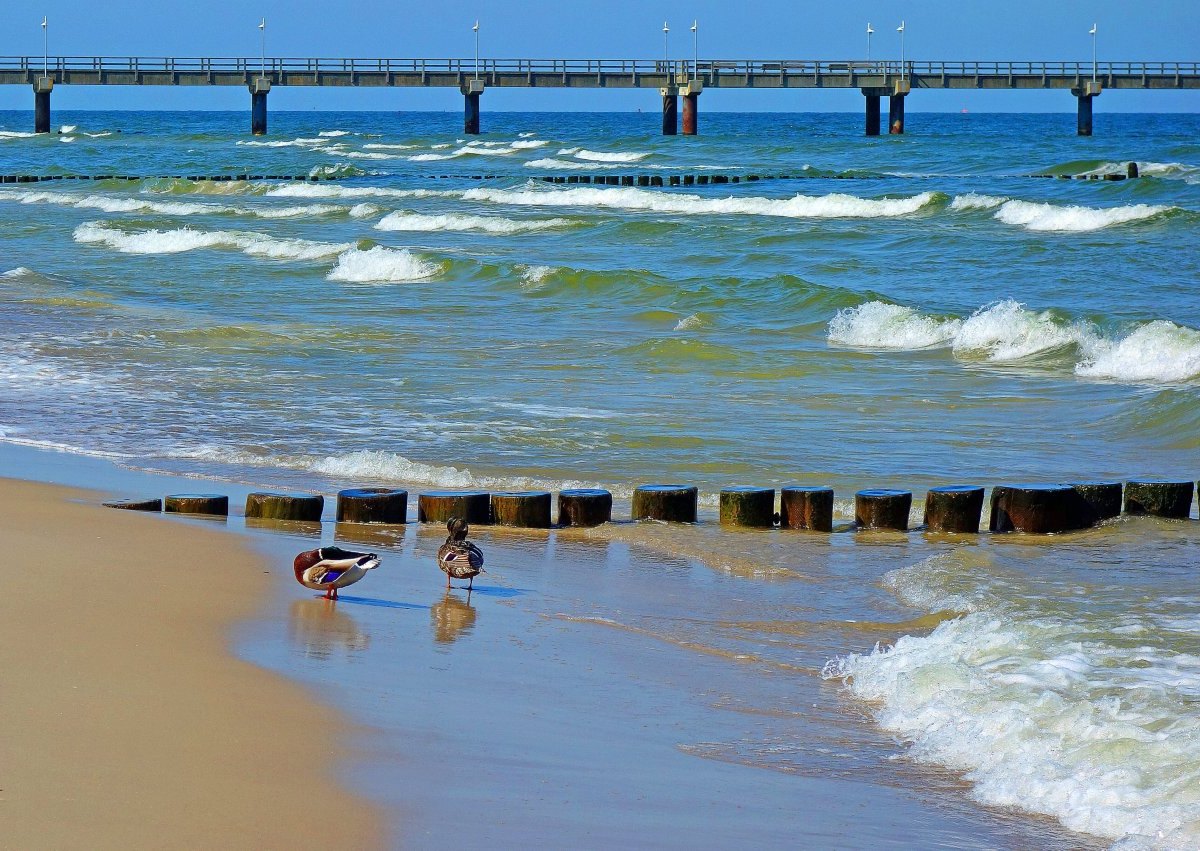 Ostsee Usedom