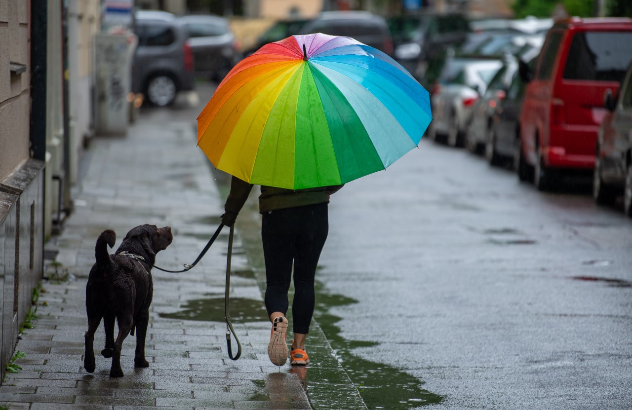 Einen Regenschirm sollte man an diesem Wochenende besser nicht vergessen. (Symbolbild)