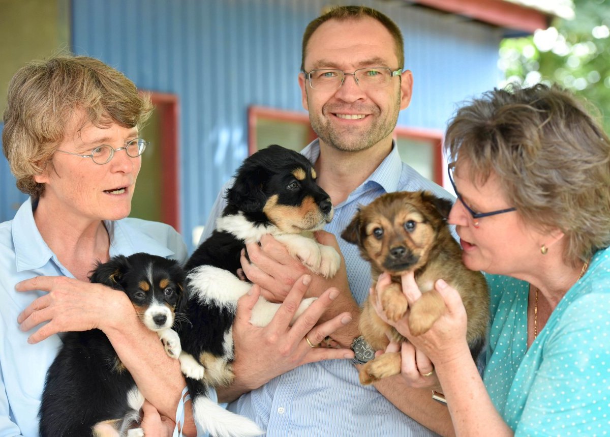 Tierheim Duisburg Hundewelpen.jpg