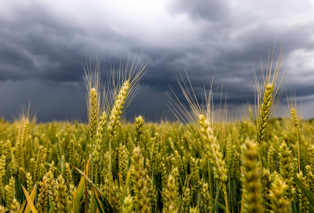 Wetter: Wann wird es wieder richtig Sommer? (Symbolbild)