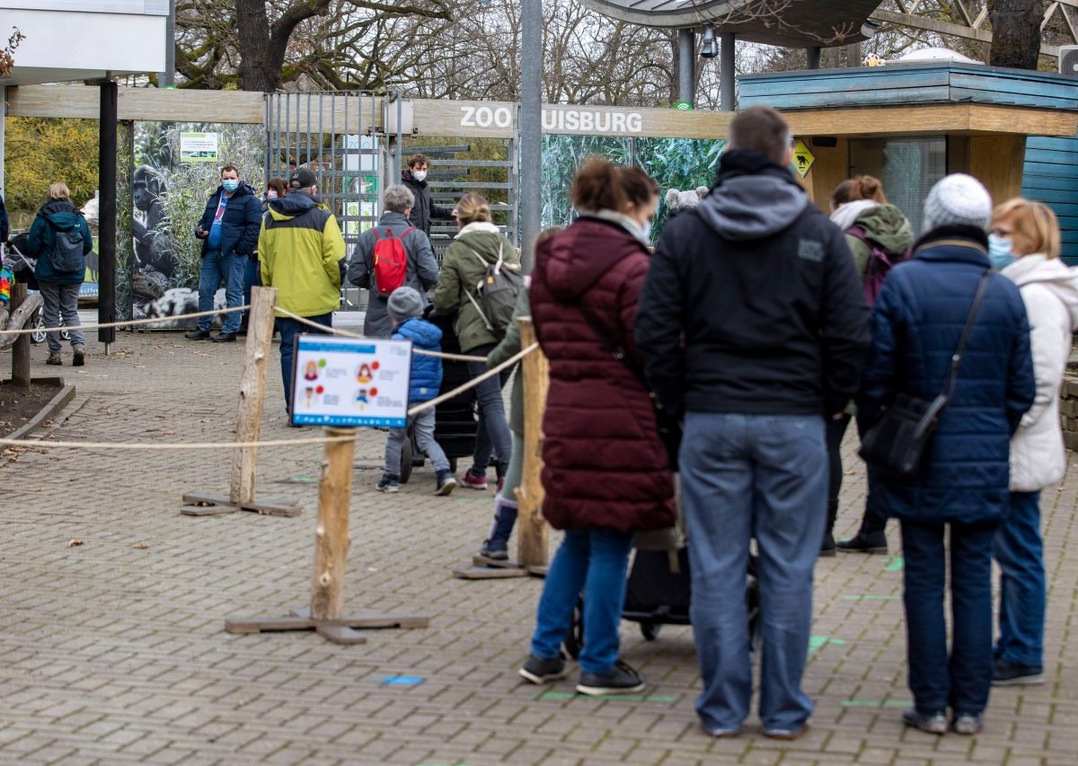 Zoo Duisburg nashorn