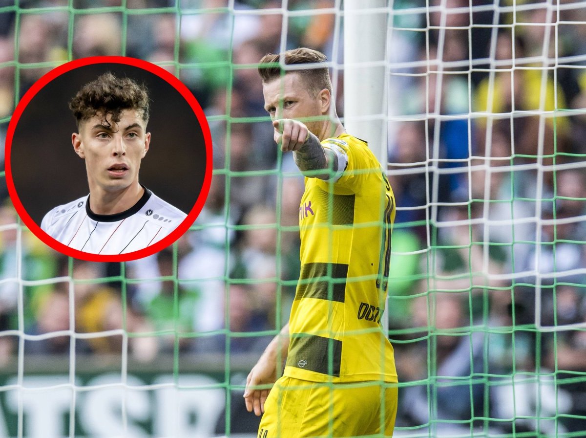 borussia-dortmund-reus-havertz.jpg