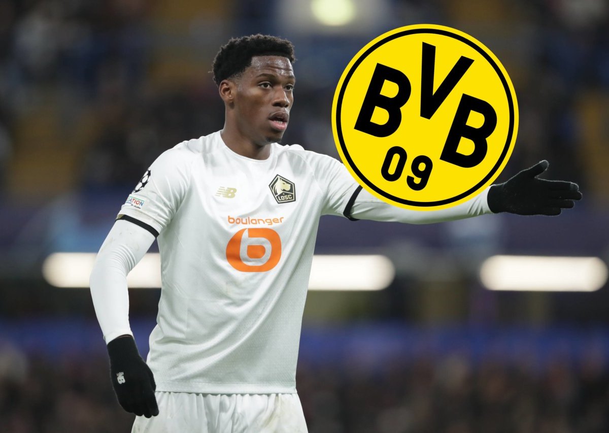 bvb-borussia-dortmund-jonathan-david