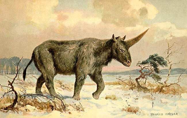 So stellte sich Heinrich Harder, 1935 verstorbener Berliner Maler von urzeitlichen Tieren, das Einhorn Elasmotherium vor.