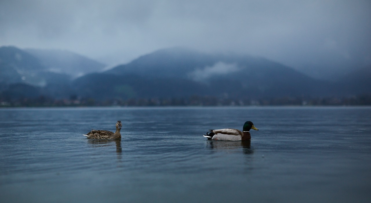 Nass, grau, trist – der Frühling 2021 zeigte sich nur selten von seiner schönsten Seite. (Symbolbild) 