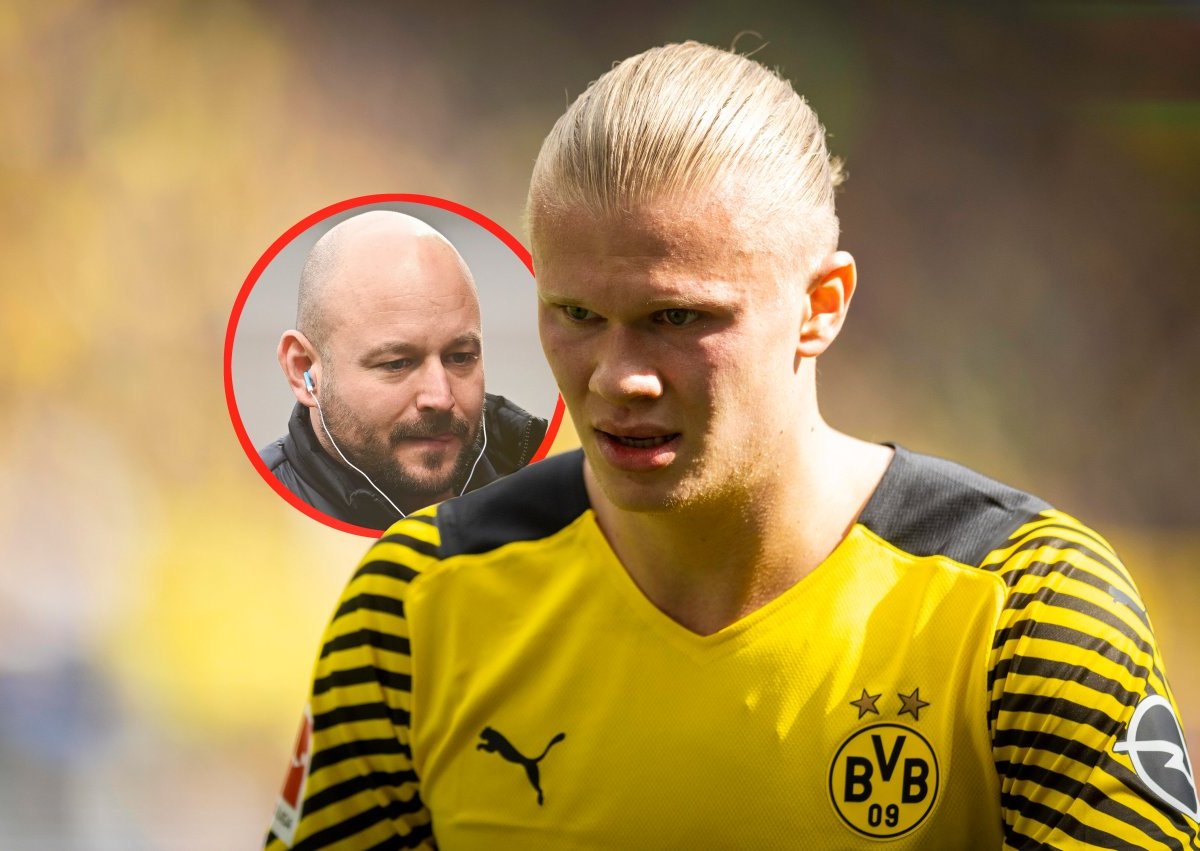 erling-haaland-rosen-borussia-dortmund-raiola.jpg