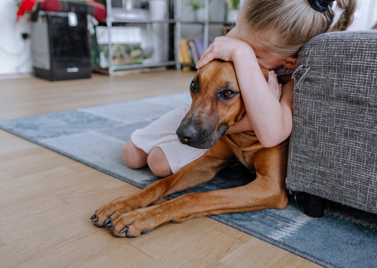 hund-mädchen.jpg