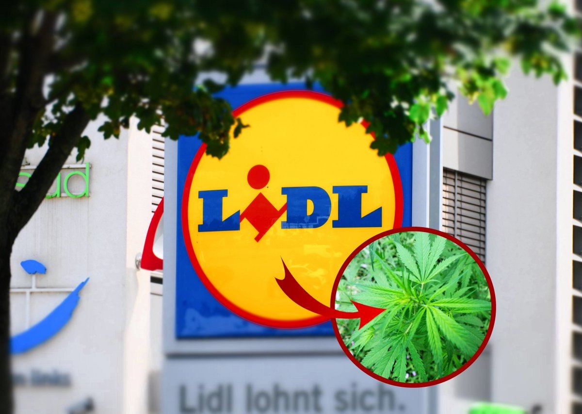 lidl-cannabis