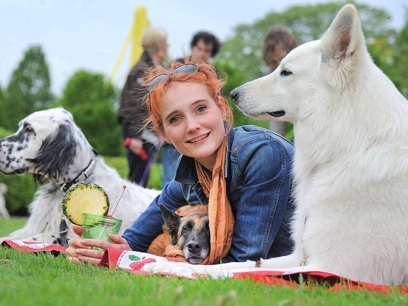 Die Messe Hund und Heimtier wird am Freitag, 11. Mai 2012, eröffnet. Zum Fototermin kam Ramona Teschner mit ihrem weißen Schäferhund "Aron" vor die Westfalenhalle.Foto: Franz Luthe