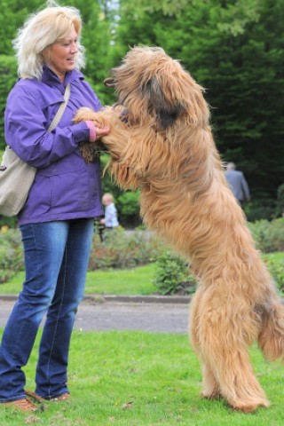 Die Messe Hund und Heimtier wird am Freitag, 11. Mai 2012, eröffnet. Zum Fototermin kam Ramona Teschner mit ihrem weißen Schäferhund "Aron" vor die Westfalenhalle.Foto: Franz Luthe