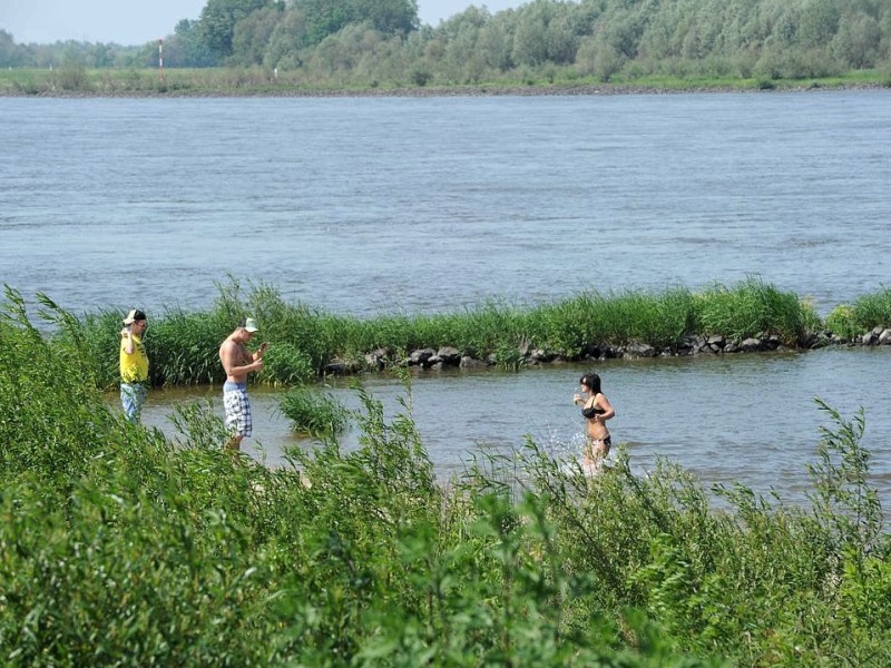 Am Donnerstag 24.04.2012 planschen ein paar Badegaeste am Rheinufer in Orsoy an der Faehrstrasse.Foto: Markus Joosten / WAZ FotoPool