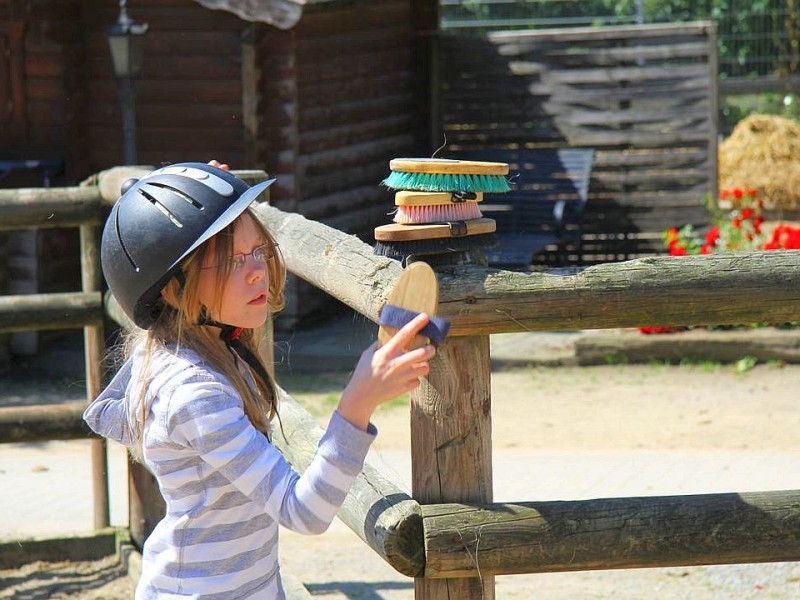 Der Freienspass auf dem Reiterhof Reiterzentrum Worch am Montag 23. Juli 2012 in Hattingen.Die 32 Kinder imm Alter zwischen 8-10 Jahren lernen spielerisch mit dem Tier Pferd umzugehen.Satteln,Säubern und reiten gehört dazu.Auch der Reitunterricht findetr statt. Foto: Claudia Schütte / WAZ FotoPool