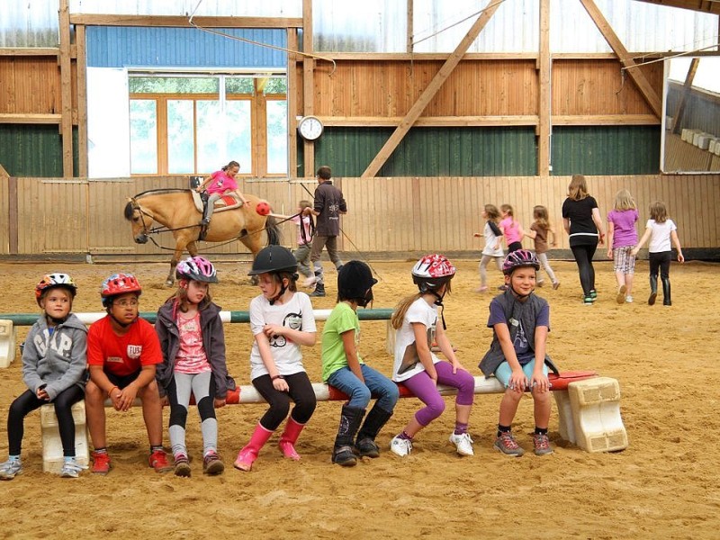 Der Freienspass auf dem Reiterhof Reiterzentrum Worch am Montag 23. Juli 2012 in Hattingen.Die 32 Kinder imm Alter zwischen 8-10 Jahren lernen spielerisch mit dem Tier Pferd umzugehen.Satteln,Säubern und reiten gehört dazu.Auch der Reitunterricht findetr statt. Foto: Claudia Schütte / WAZ FotoPool