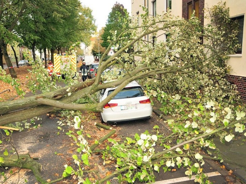 ... auch Autos wurden durch umkippende Bäume demonliert.