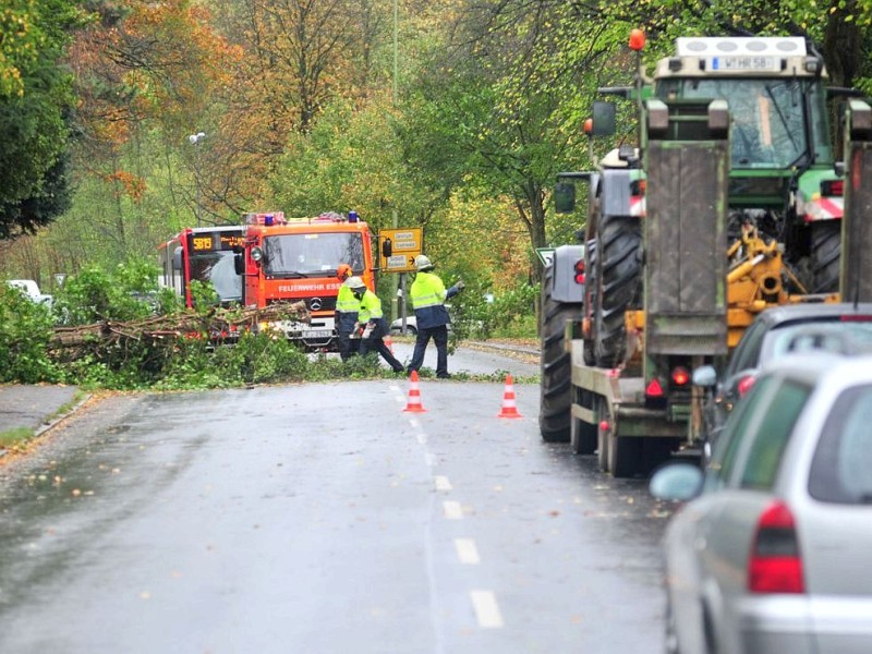 In Essen ist durch den Sturm ein Baum umgestürzt. Auf der Lerchenstraße war der Verkehr behindert.