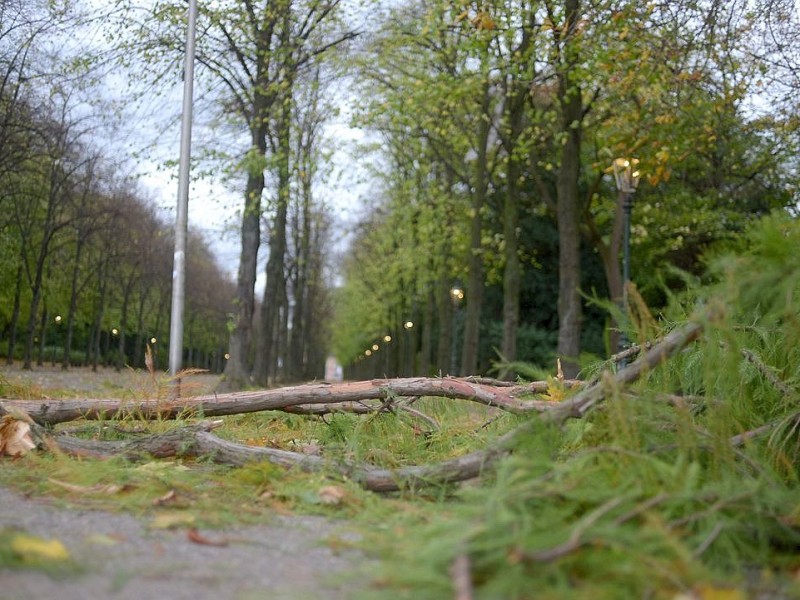 Abgerissene Äste liegen im Düsseldorfer Hofgarten.