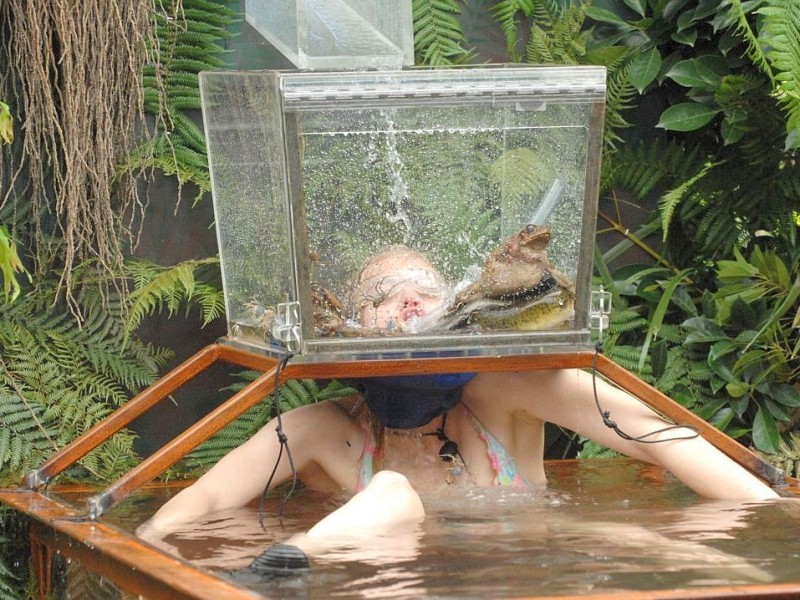 ... bekommt ihre Sterne, wenn sie fünf Minuten in einem mit Wasser gefüllten Becken aushält, während ihr Kopf in einem Aquarium steckt, das fortwährend mit Wasser und Tieren gefüllt wird. Tapfer ...