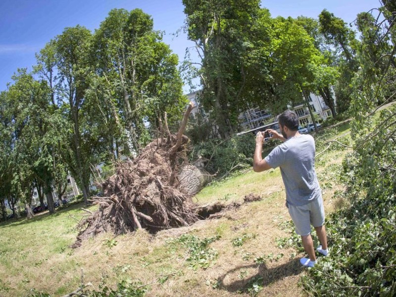 Düsseldorf wurde in der Nacht zum Dienstag von einer Unwetter-Katastrophe heimgesucht. Die traurige Bilanz: drei Tote, zehn Verletzte und Schäden in Höhe von zig Millionen Euro.