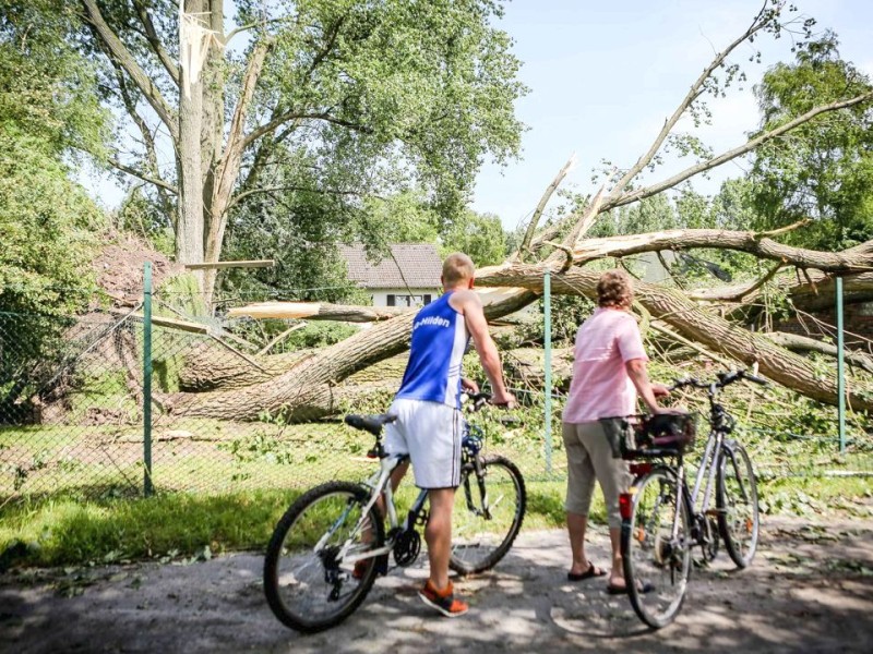 Düsseldorf wurde in der Nacht zum Dienstag von einer Unwetter-Katastrophe heimgesucht. Die traurige Bilanz: drei Tote, zehn Verletzte und Schäden in Höhe von zig Millionen Euro.