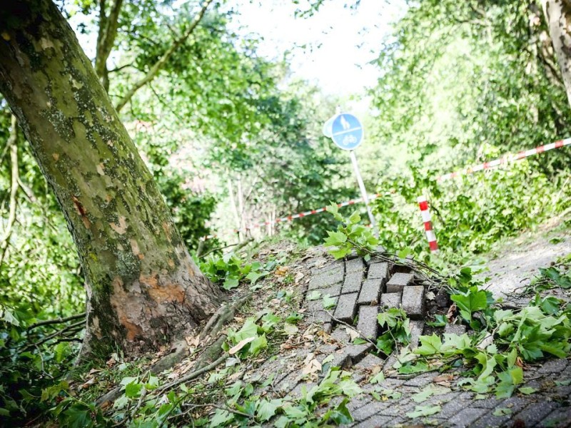 Düsseldorf wurde in der Nacht zum Dienstag von einer Unwetter-Katastrophe heimgesucht. Die traurige Bilanz: drei Tote, zehn Verletzte und Schäden in Höhe von zig Millionen Euro.