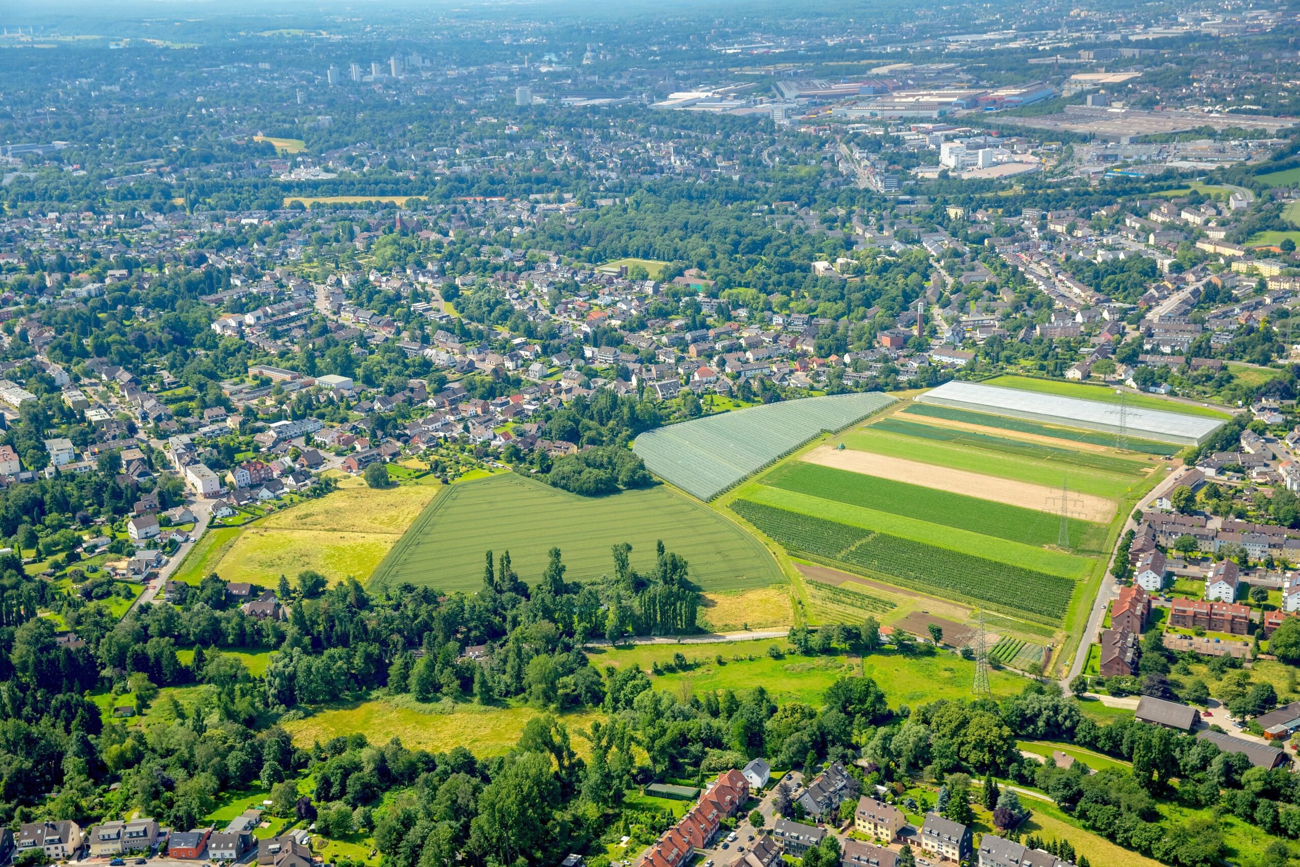 Felder zwischen Fintrop und Mülheim-Dümpten.