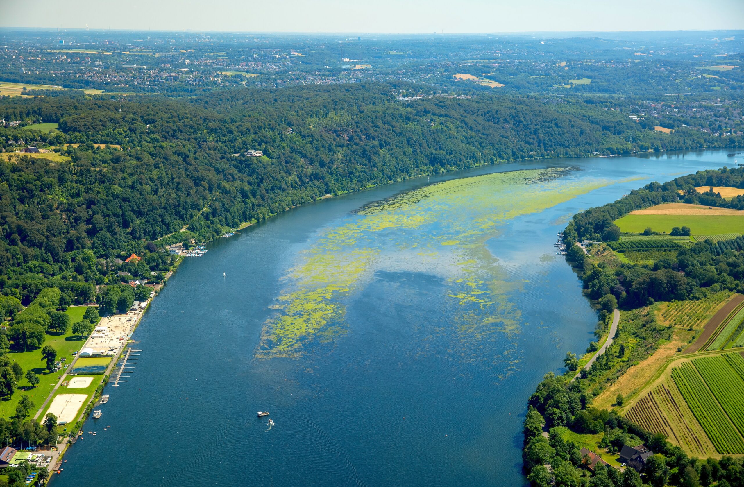 Wie der Baldeneysee in diesem Sommer zuwuchert, wird aus der Vogelperspektive besonders gut deutlich. Viele Arten von Wasserpflanzen haben sich so stark wie noch nie auf dem Baldeneysee ausgebreitet.